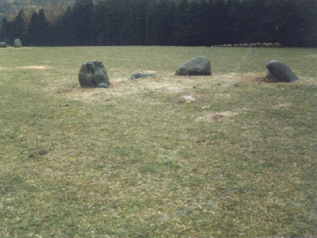 Fortingall (Stone Circle) by Martin