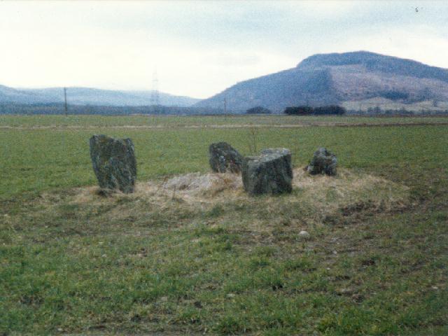Carse Farm I (Stone Circle) by Martin
