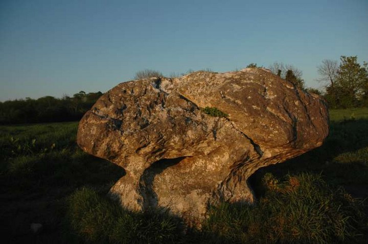 Clonkeen (Standing Stone / Menhir) by ryaner