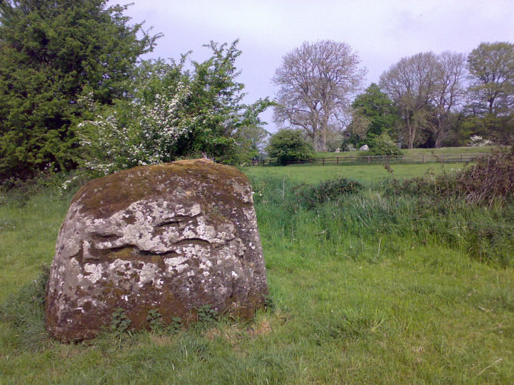 The Stone Of The Tree (Standing Stone / Menhir) by gjrk