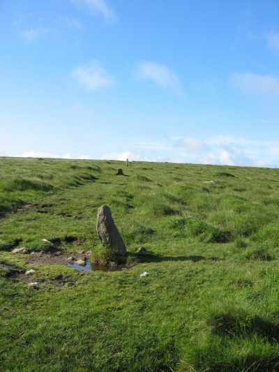Butterdon stone row (Stone Row / Alignment) by Meic