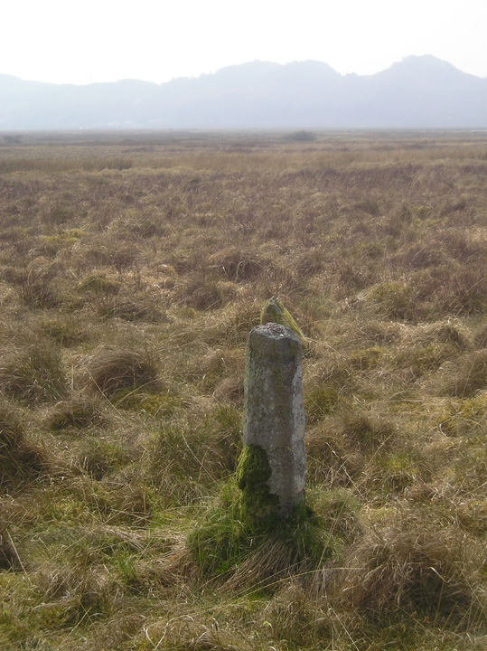 Crinan Moss (Standing Stones) by tiompan