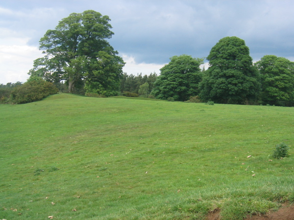 Little Coxwell Camp (Hillfort) by wysefool