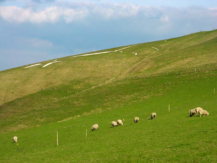 Uffington White Horse (Hill Figure) by mjobling