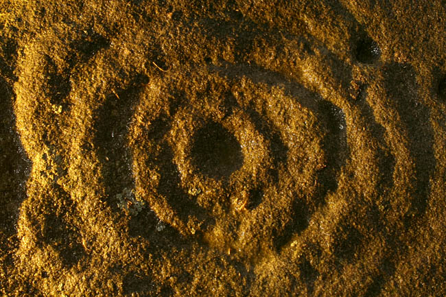 Whitsunbank 2 (Cup and Ring Marks / Rock Art) by Hob