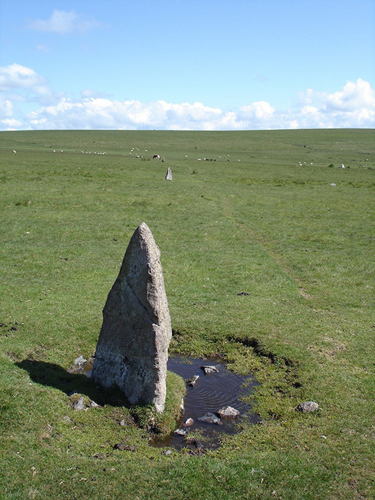 Ringmoor Cairn Circle and Stone Row (Stone Row / Alignment) by Lubin