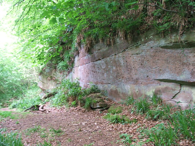 Ballochmyle Walls (Cup and Ring Marks / Rock Art) by postman