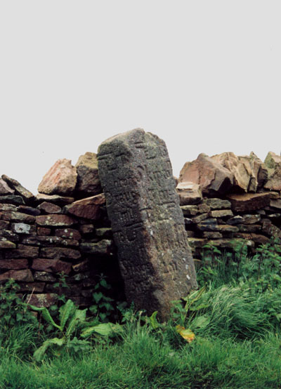 Thief Thorn Standing Stone (Draughton Moor) (Standing Stone / Menhir) by whipangel