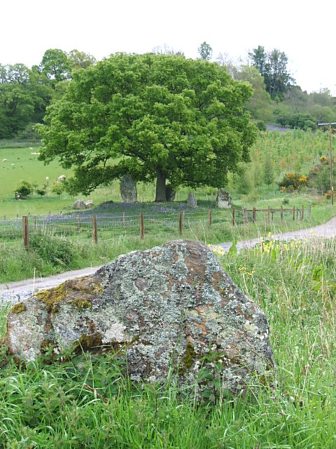 Lundin Farm (Stone Circle) by postman