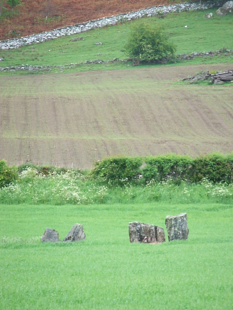 Carse Farm I (Stone Circle) by postman