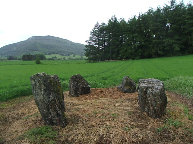 Carse Farm I (Stone Circle) by postman