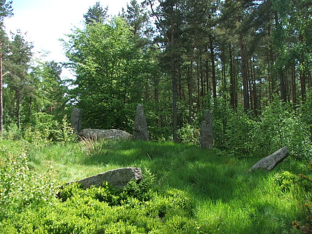 Cothiemuir Wood (Stone Circle) by postman