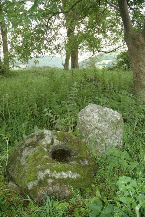 Kilmurry South (Bullaun Stone) by ryaner
