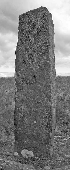 Maen Madoc (Standing Stone / Menhir) by kluster