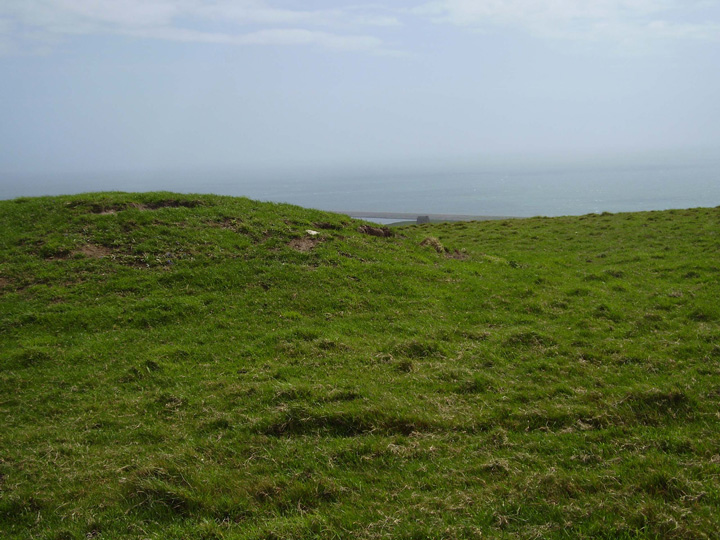 White Hill Barrows (Barrow / Cairn Cemetery) by formicaant