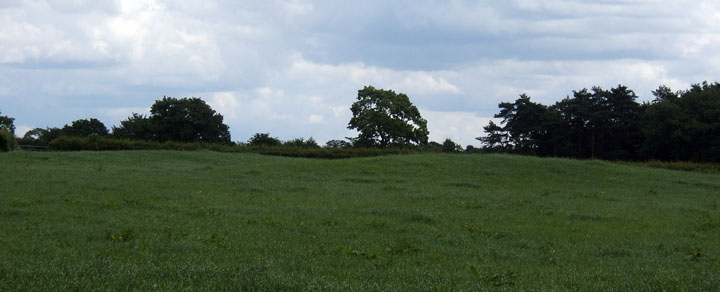 Osmaston Fields 2 (Round Barrow(s)) by fauny fergus