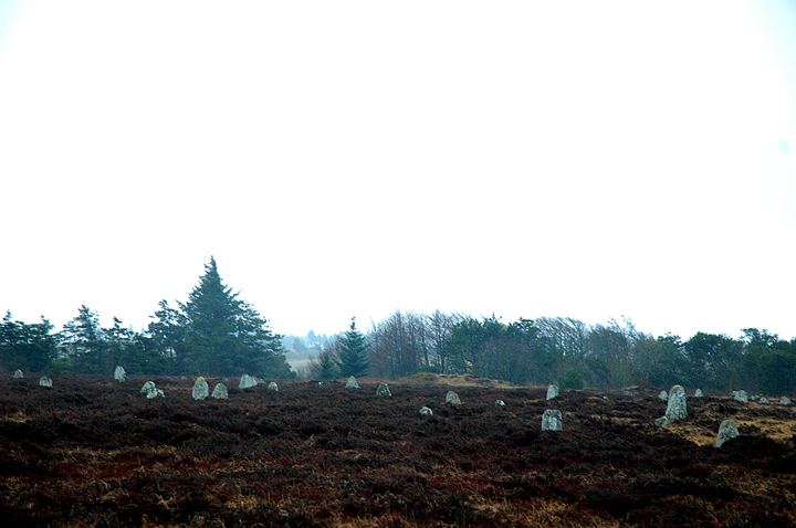 Tømmerby Vikingeravplads (Megalithic Cemetery) by Moth
