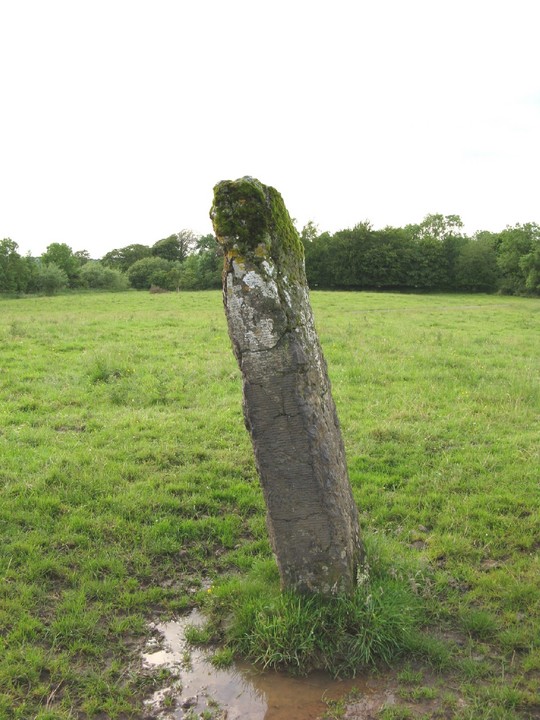 Ballyconry (Standing Stone / Menhir) by bawn79