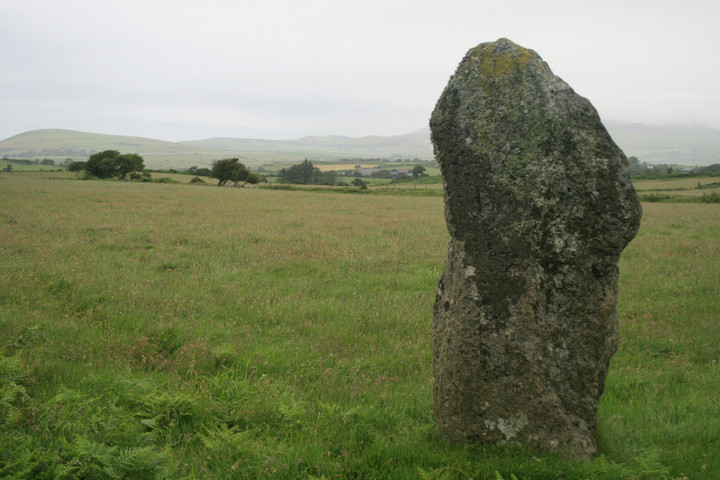 Tir Gwyn 2 (south) (Standing Stone / Menhir) by postman