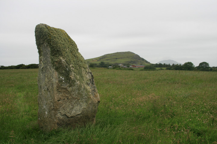 Tir Gwyn 1 (North) (Standing Stone / Menhir) by postman
