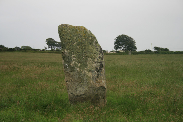 Tir Gwyn 1 (North) (Standing Stone / Menhir) by postman