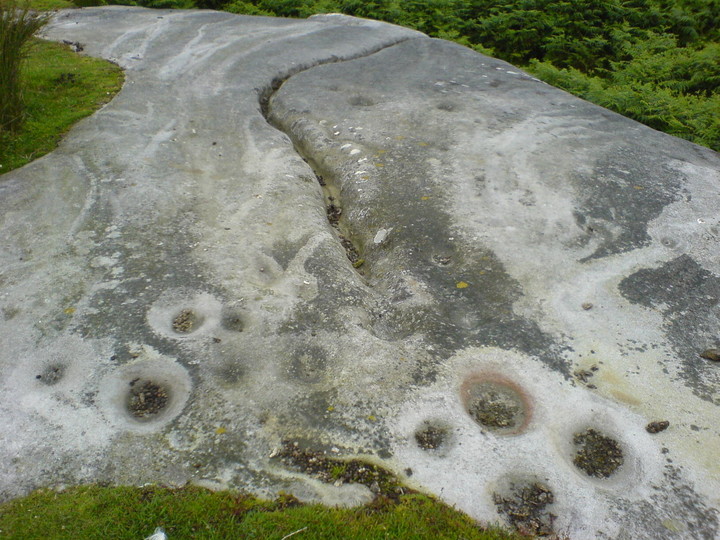 Lordenshaw (Cup and Ring Marks / Rock Art) by Gavin Douglas