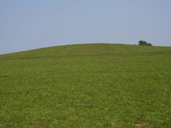 Four Barrow Hill (Round Barrow(s)) by formicaant