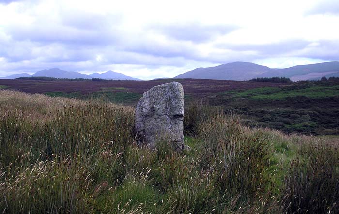 The Doon (Standing Stone / Menhir) by baza