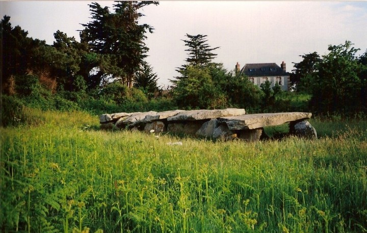 Prajou Menhir (Allee-Couverte) by postman