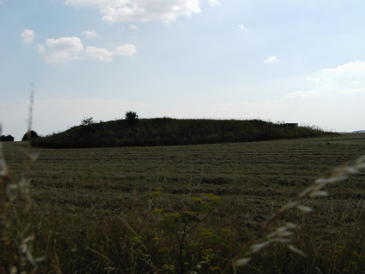 Gussage Hill (Long Barrow) by formicaant