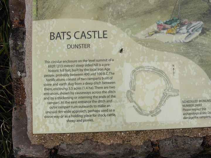 Bats Castle (Hillfort) by formicaant