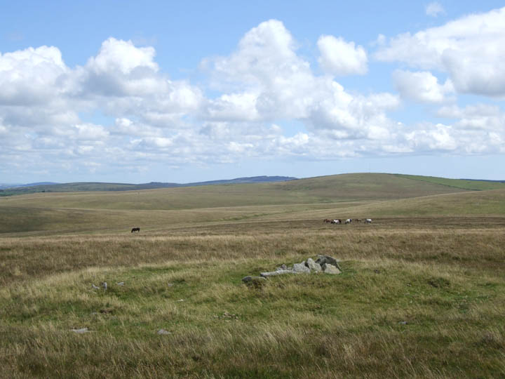 Buttern Hill (Cairn(s)) by Mr Hamhead