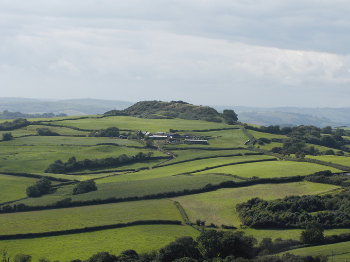 Shipton Hill (Hillfort) by formicaant