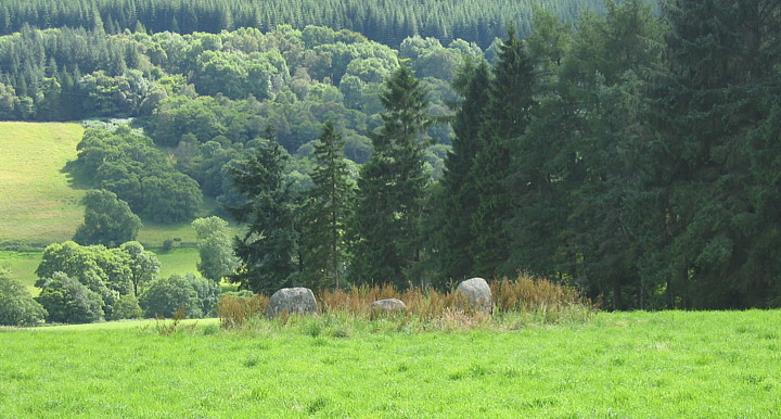 Fortingall (Stone Circle) by fitzcoraldo