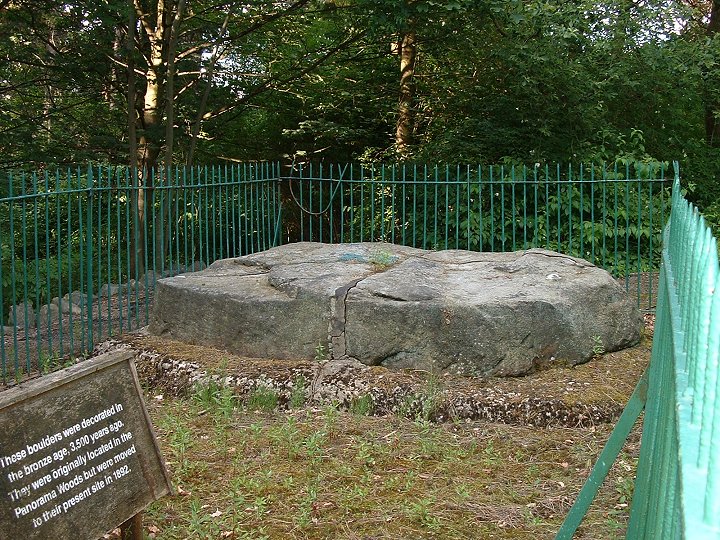 Panorama Stone (Cup and Ring Marks / Rock Art) by Chris Collyer