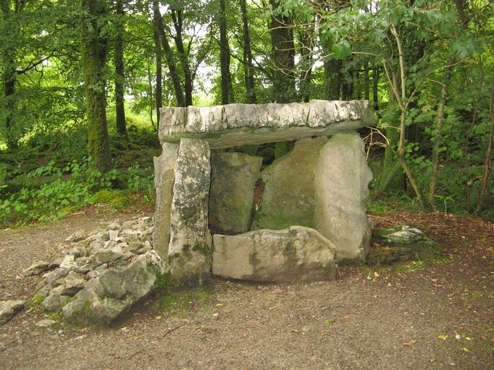 Craggaunowen (Portal Tomb) by bawn79