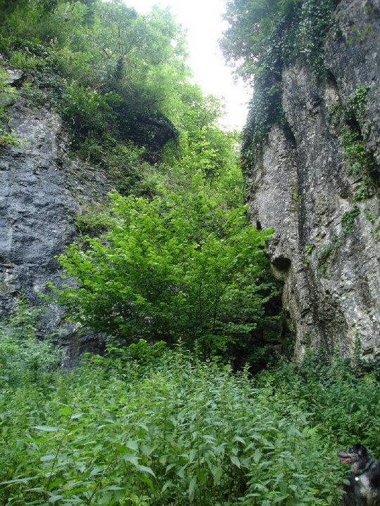 Ebbor Gorge (Cave / Rock Shelter) by moss
