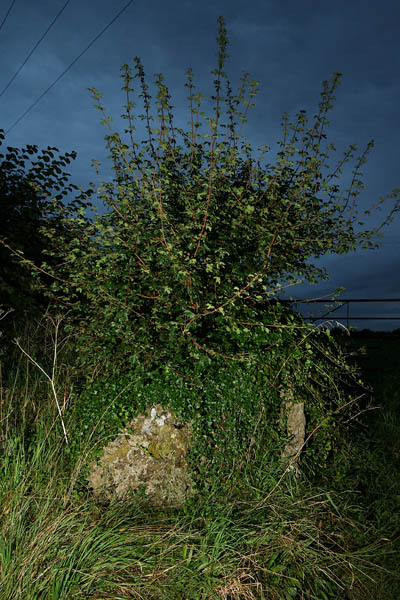 Churchill Three Stones (Standing Stones) by Hob