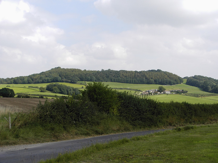 Castle Ditches (Tisbury) (Hillfort) by formicaant