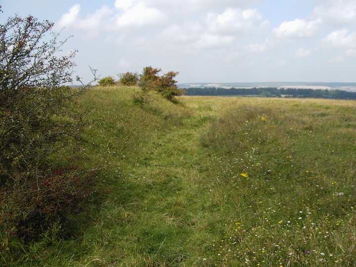 Chiselbury (Hillfort) by formicaant
