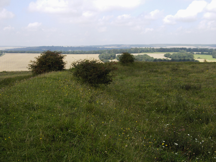 Chiselbury (Hillfort) by formicaant