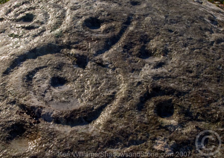 Kinard East (Cup and Ring Marks / Rock Art) by CianMcLiam