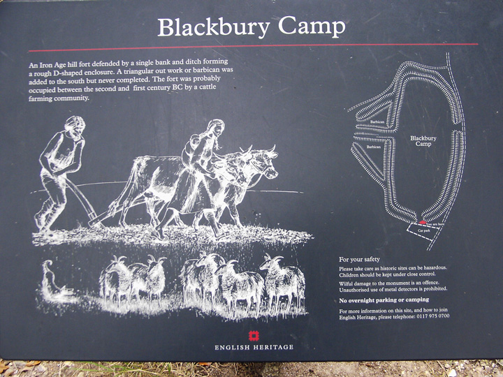 Blackbury Camp (Hillfort) by formicaant