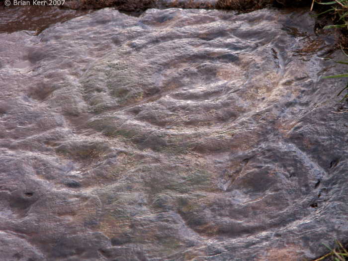 Auchenhay (Cup and Ring Marks / Rock Art) by rockartwolf