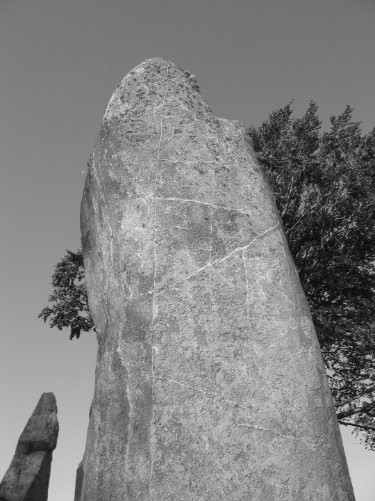 Tyrebagger (Stone Circle) by Chris