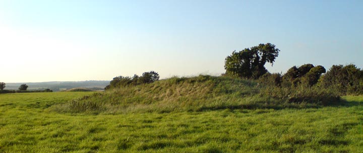 Thickthorn Down (South) (Long Barrow) by mrcrusty