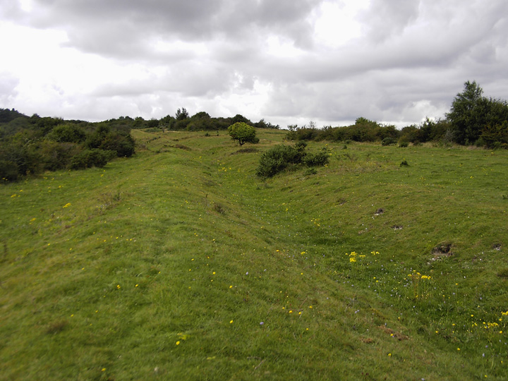 Grim's Ditch (Cranborne Chase) (Dyke) by formicaant