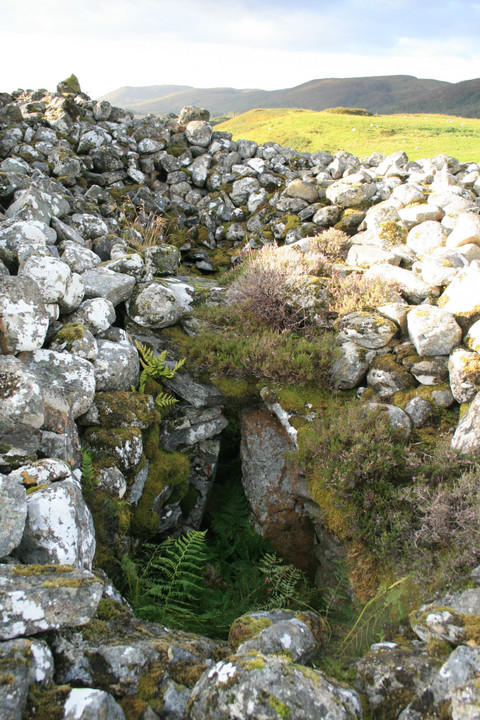 Coille na Borgie (Chambered Tomb) by postman