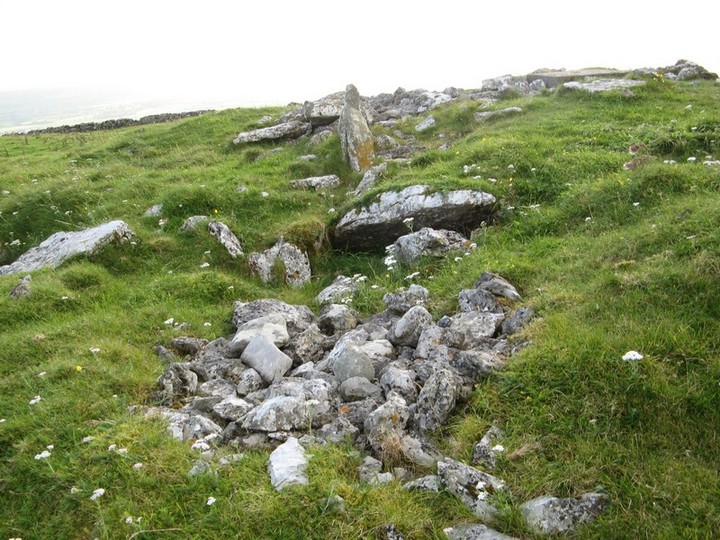 Clomantagh (Mountgarret) (Passage Grave) by bawn79