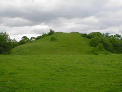 Brinklow (Artificial Mound) by greenman